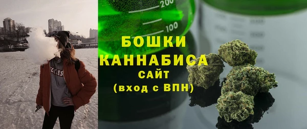 гидра Пересвет