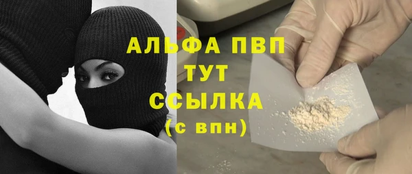 гидра Пересвет