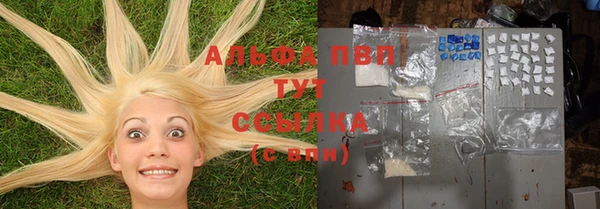 гидра Пересвет