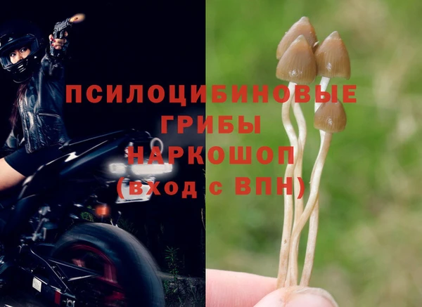 гидра Пересвет