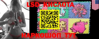 PSILOCYBIN Гай