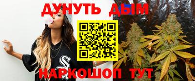 mdpv Гатчина