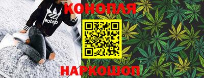 PSILOCYBIN Гай