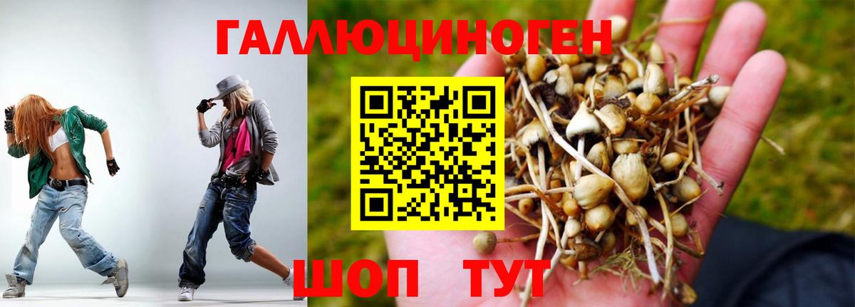 купить закладку  Галлюциногенные грибы ЛСД  Вход с VPN  Ялуторовск 